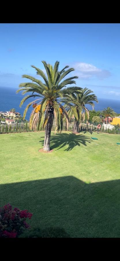 Vista Mar Azul Elegante Y Acogedor Daire Santa Úrsula Dış mekan fotoğraf
